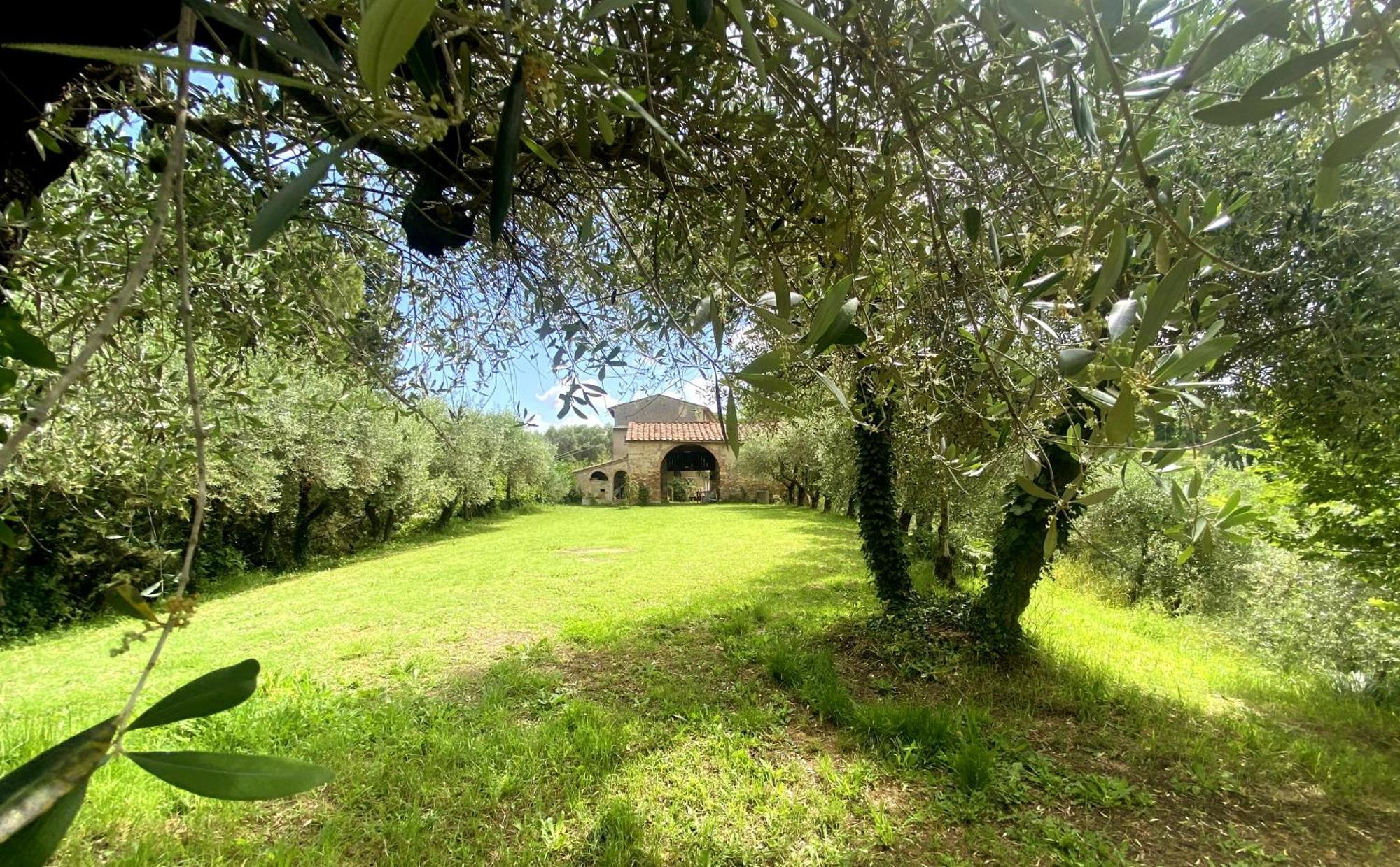 Appartement La Tonnaia à Lari Extérieur photo